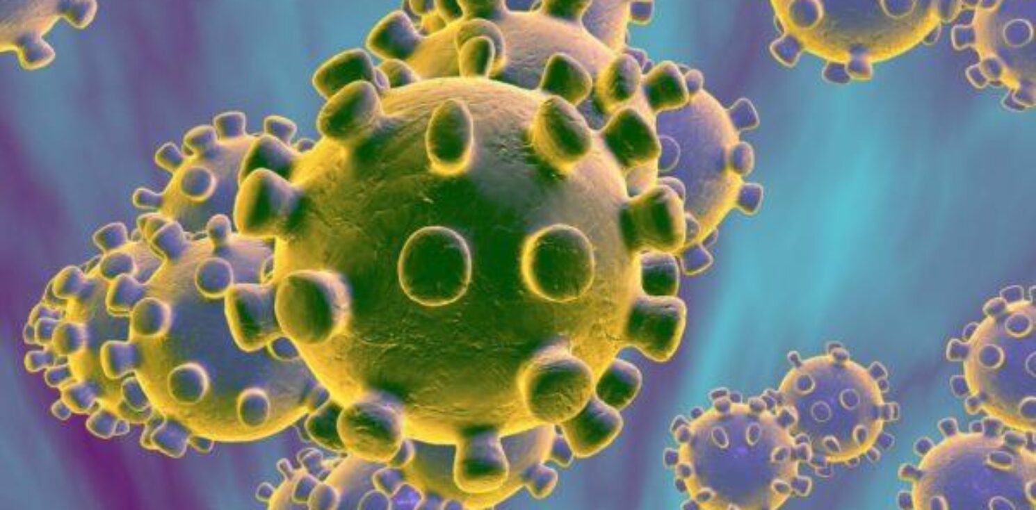 Coronavirus Image