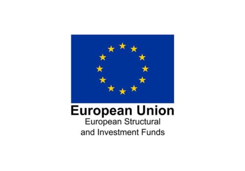 ESIF logo portrait white surround